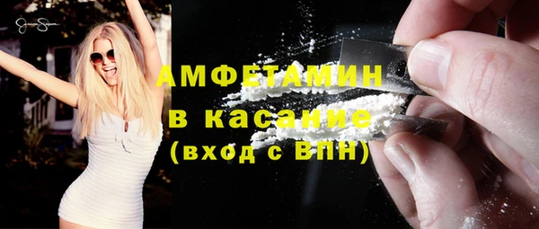 стаф Аркадак