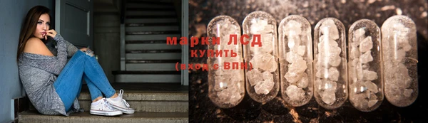 стаф Аркадак