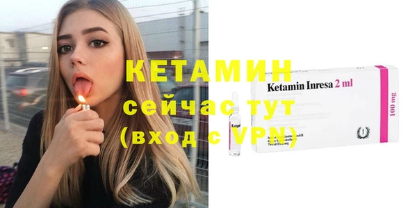 стаф Аркадак