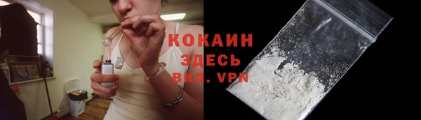тгк Армянск