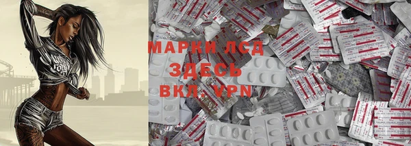 стаф Аркадак