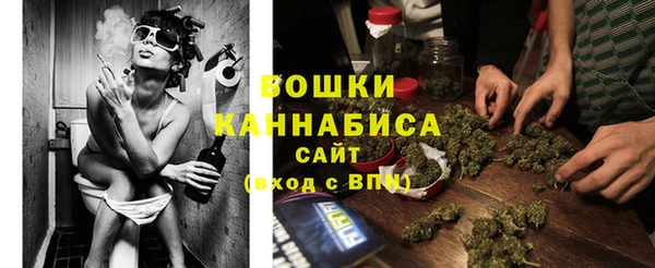 стаф Аркадак