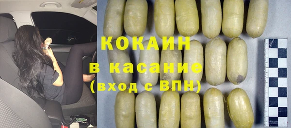 стаф Аркадак