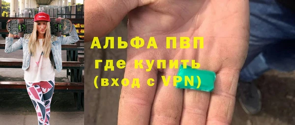 стаф Аркадак