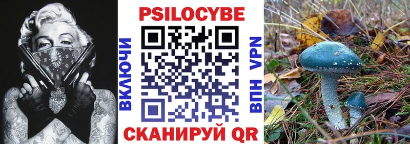 Галлюциногенные грибы Psilocybe  это состав  Бокситогорск 